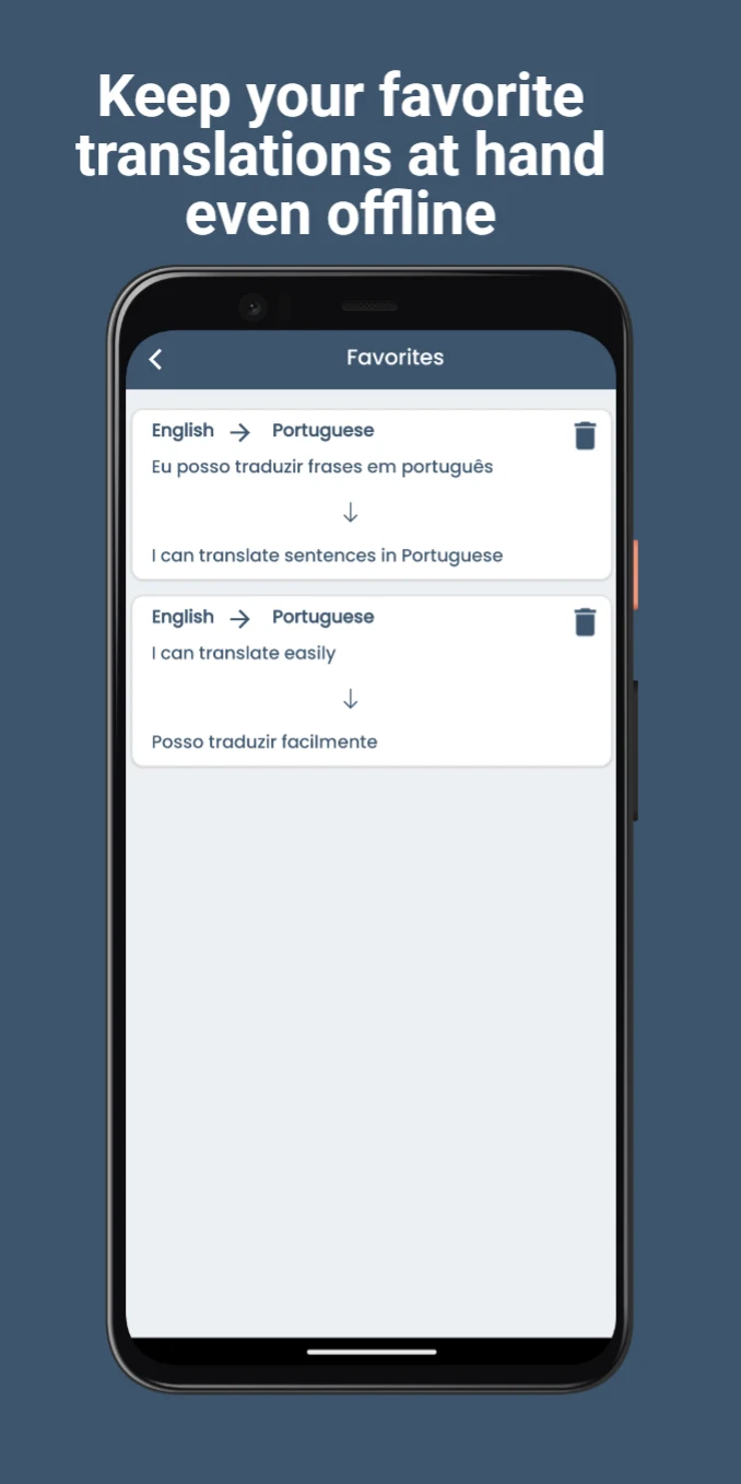 Portuguese English Translator screenshot